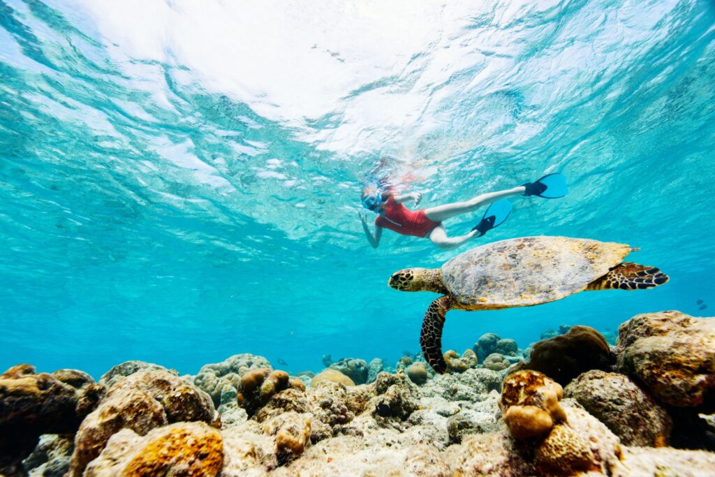 A teen girl snorkelling in the crystal blue waters of the mediterranean watching a turtle